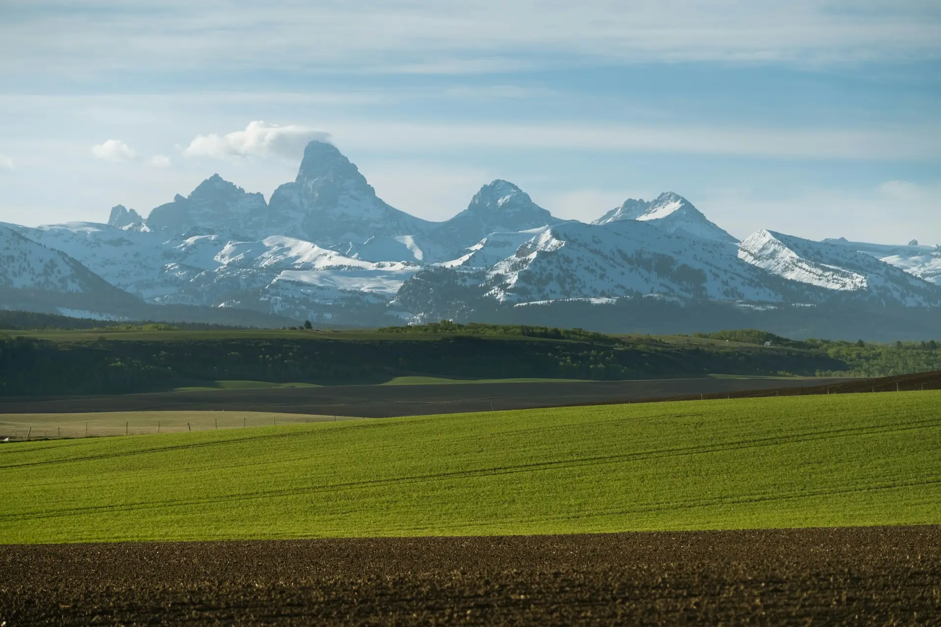 The Teton Range above green farmland near Driggs, Idaho